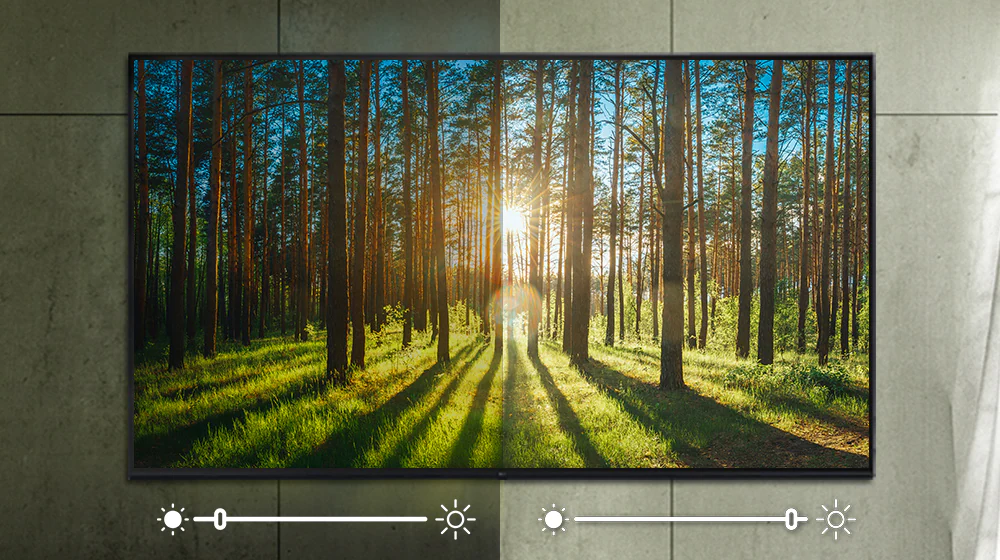 Una pantalla, que muestra una imagen de un bosque, cuyo brillo se ajusta según el entorno.