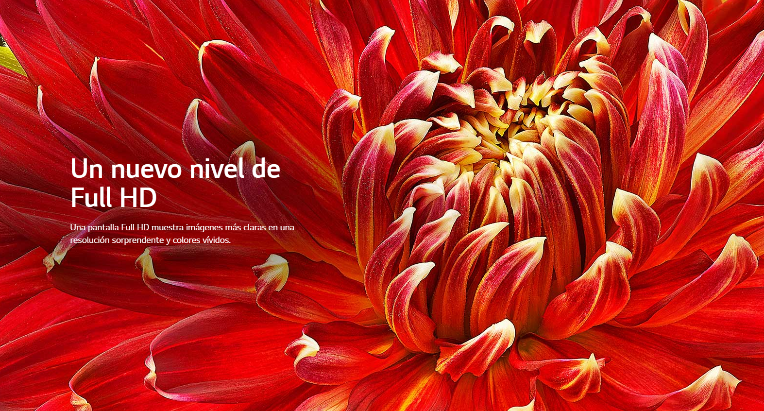 Clarico-Full Image