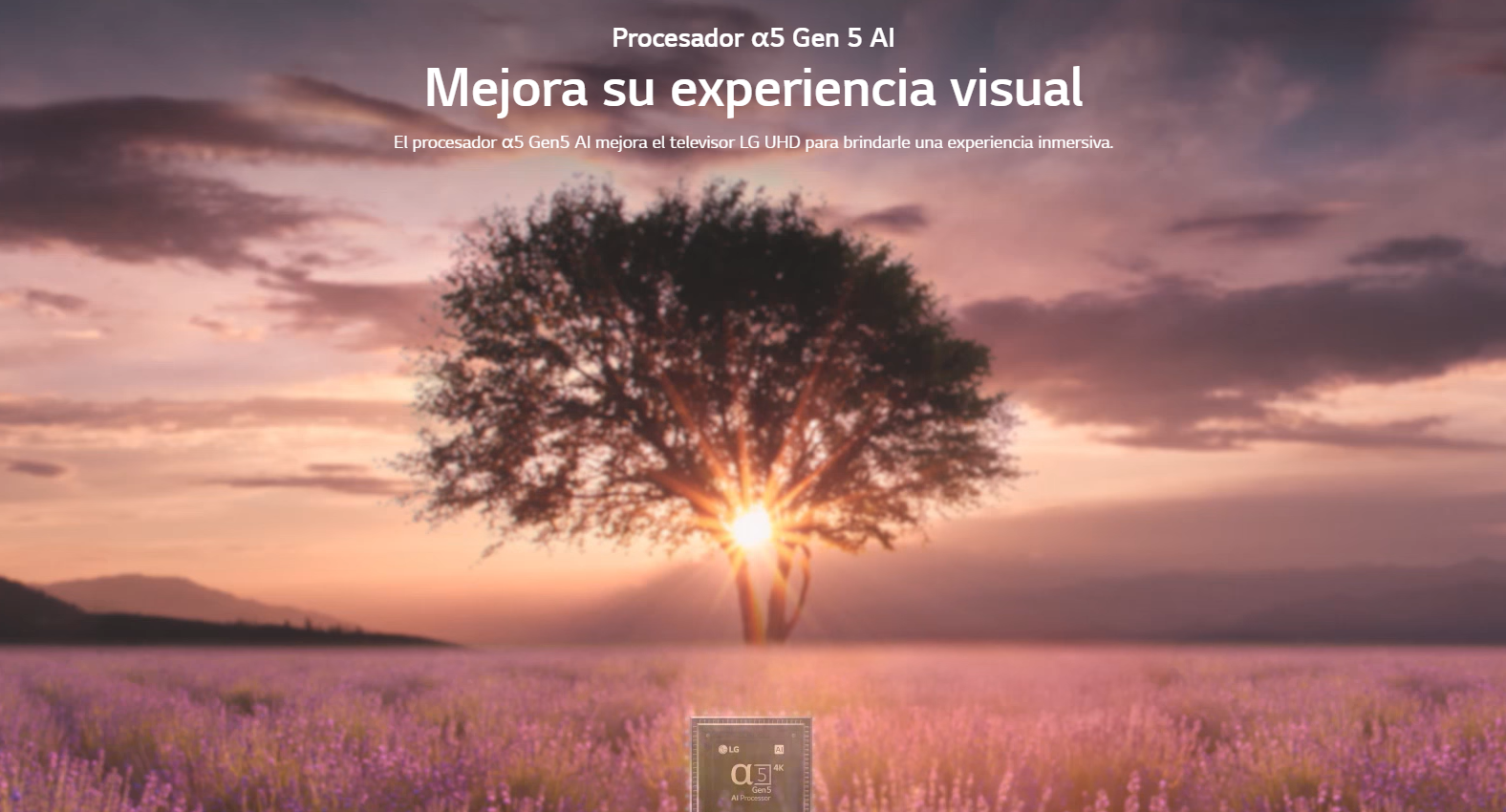 Clarico-Full Image