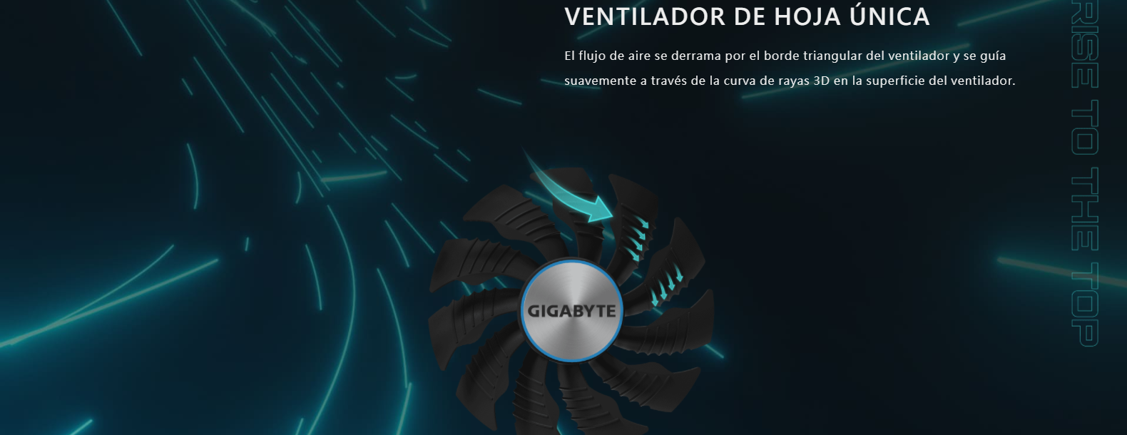 Clarico-Full Image