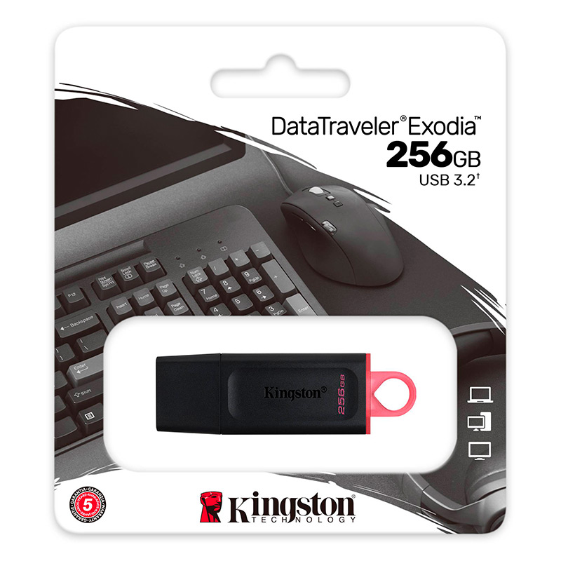 Memoria USB Kingston 256GB 3.2 DTX
