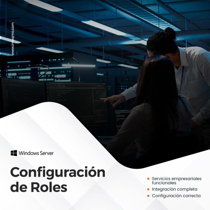 Implementación Profesional de Roles